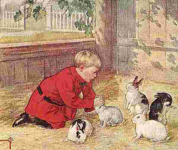 Boy With Animals
