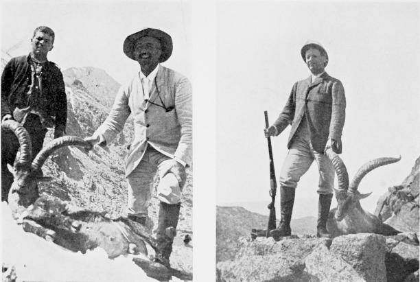 Two Spanish Ibex shot in Sierra de Grédos, July, 1910.

MARQUÉS DE VILLAVICIOSA DE ASTEREAS.
MARQUÉS DE VIANA.
Two Spanish Ibex Shot in Sierra de Grédos, July, 1910.