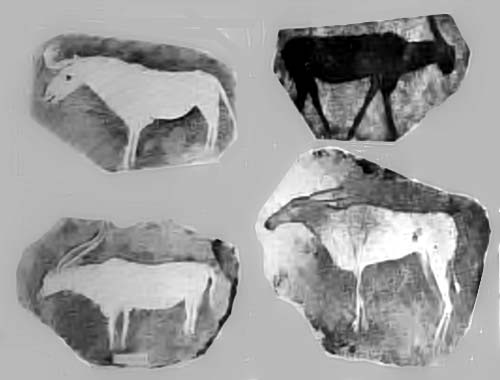 DRAWINGS OF ANIMALS (CRO-MAGNON) FROM ALTAMIRA.