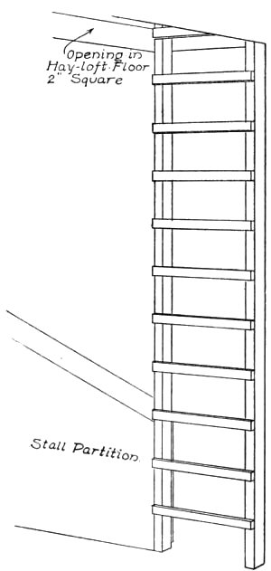 Ladder to Hay-loft.