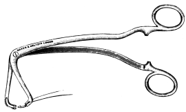 Horsford’s Instrument for transfixing the Epiglottis.