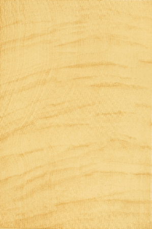 Plate 27. CURLY MAPLE OVERGRAINED.