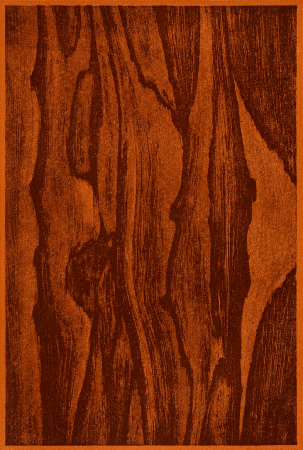 Plate 43. ROSEWOOD AS OUTLINED TO OVERGRAIN.