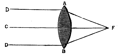 Fig. 290.