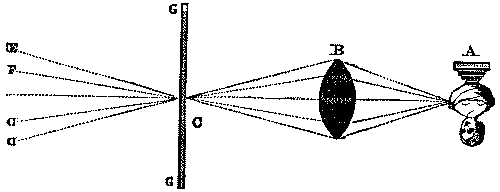 Fig. 311.