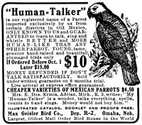 Human-Talker