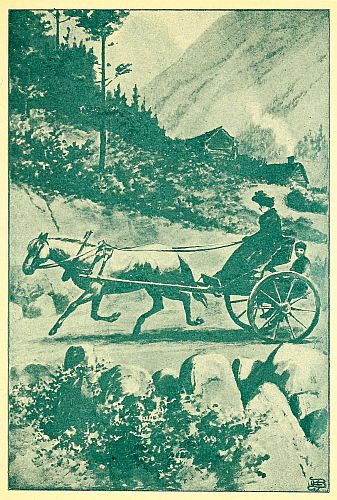 Woman driving a buggy with one horse