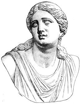 Fig. 224.—Head of Niobe.