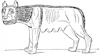 Fig. 260.—Capitoline Wolf.