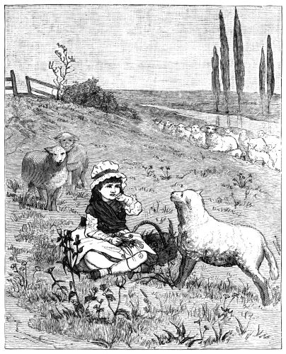 girl sitting in field with sheep