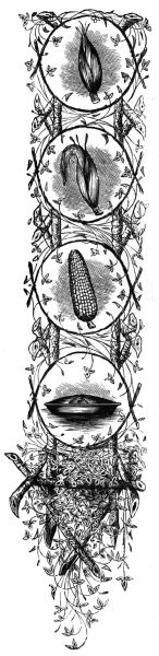 side decoration of corn in it's stages