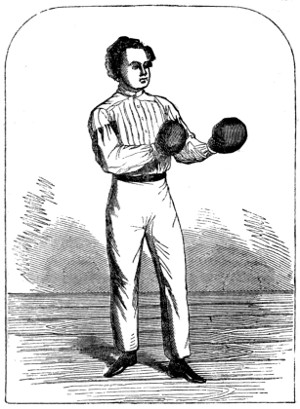 Boxer in standing position