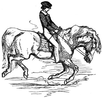 Stumbling pony with rider
