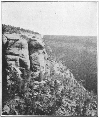 Fig. 1.—View down Navaho Canyon.