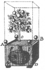 Diagram of the orange-tree trick, from Wiegleb’s “The
Natural Magic,” published in 1794.