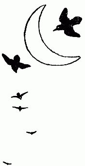 crescent moon with birds flying by