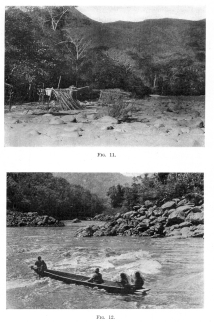 Fig. 11—A temporary shelter-hut on a sand-bar near the
great bend of the Urubamba (see map, 8 ). The Machiganga Indians use
these cane shelters during the fishing season, when the river is low.
