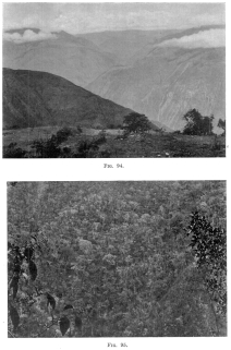 Fig. 94—Cloud belt at 11,000 feet in the Apurimac Canyon
near Incahuasi. For a regional diagram and a climatic cross-section see
Figs. 32 and 33.