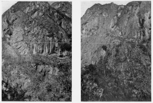 Fig. 144—Cliffed canyon wall in the Urubamba Valley
between Huadquiña and Torontoy. There is a descent of nearly 2,000 feet
shown in the photograph and it is developed almost wholly along
successive joint planes.