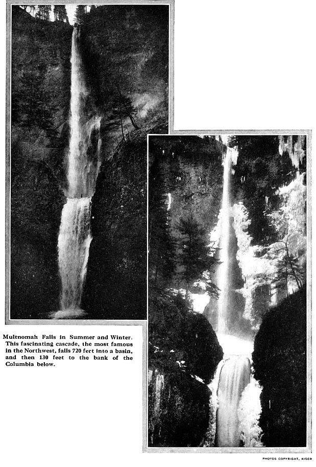 Multnomah Falls in Summer and Winter.
This fascinating cascade, the most famous
in the Northwest, falls 720 feet into a basin,
and then 130 feet to the bank of the
Columbia below. PHOTOS COPYRIGHT, KISER