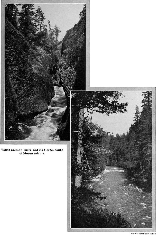 White Salmon River and its Gorge, south
of Mount Adams. PHOTOS COPYRIGHT, KISER