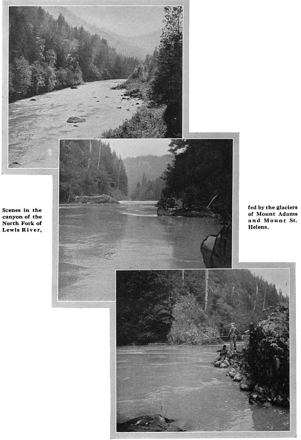 Scenes in the canyon of the North Fork of Lewis River, fed by the glaciers of Mount Adams and Mount St. Helens.