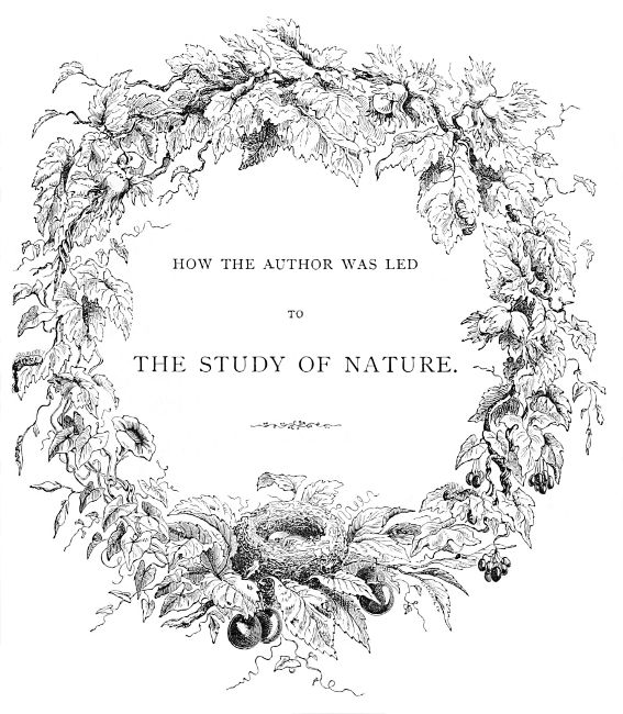 HOW THE AUTHOR WAS LED TO THE STUDY OF NATURE.