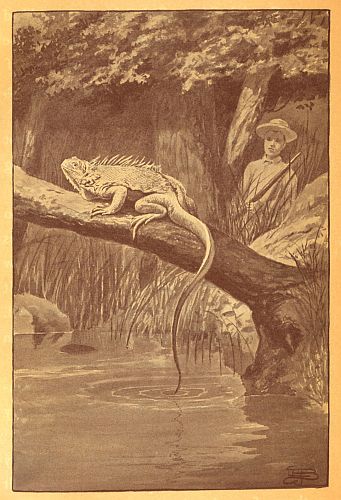 lizard in tree above water, boy in background with gun
