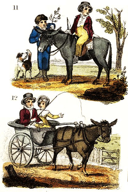 11: boys riding donkey; 12: children in a chaise