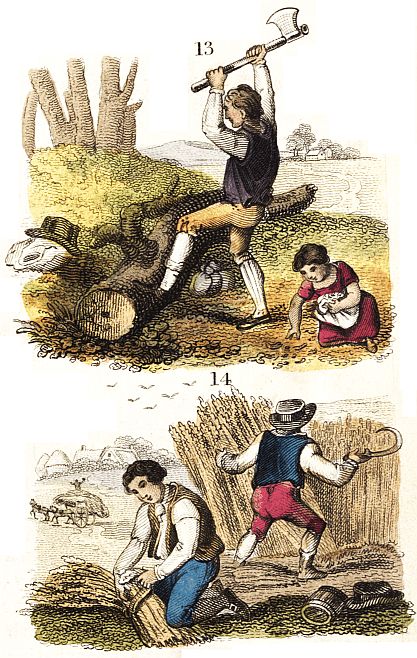 13: Man chopping wood and girl picking up woodchips; 14 men harvesting in field