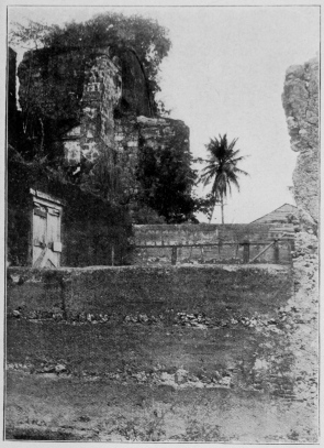 Copyright, 1901, by Detroit Photographic Co. Ruins of Castle Built by Diego Colon Santo Domingo