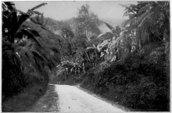 The Bog Walk Road, near Spanish Town Jamaica