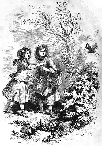 Children in woods
