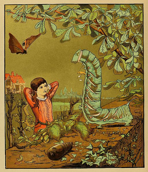 Girl talking to large caterpillar