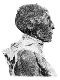 Tête de la momie de Ramsès III