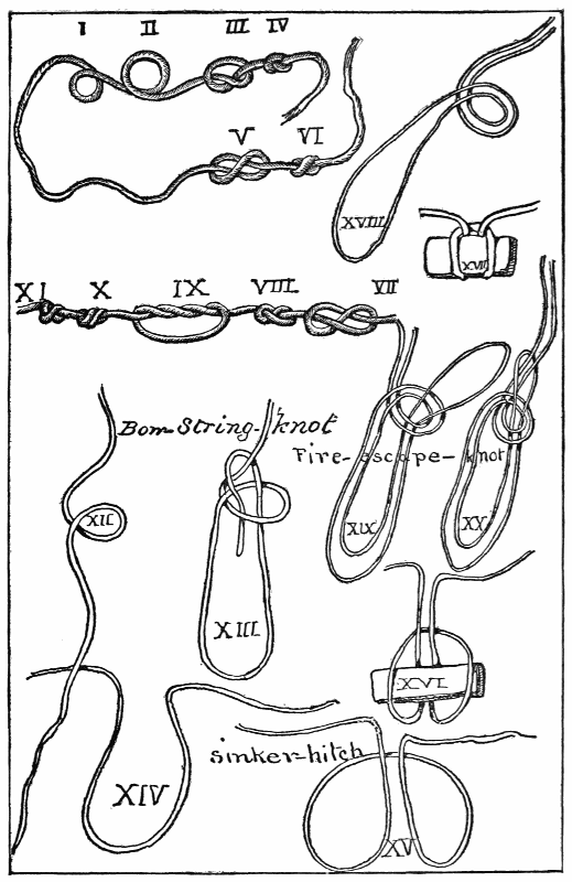drawings of knots
