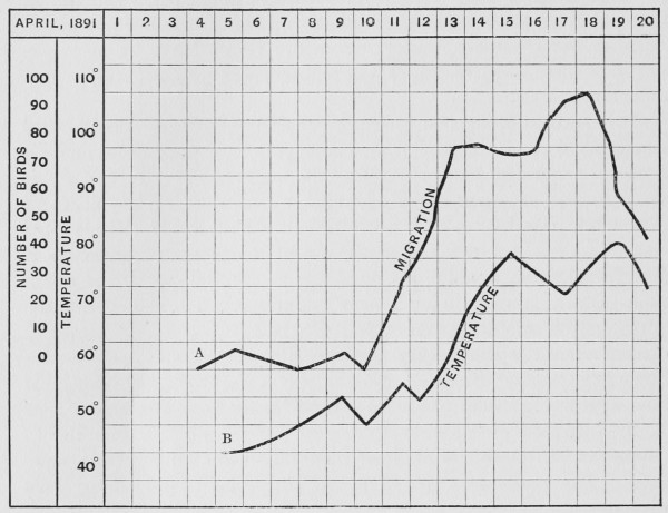 A graph of A, migration; B, temperature.