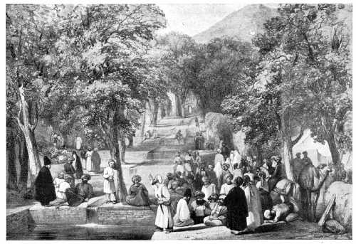 Plane-tree Avenue in Babur’s (later) Burial-garden.