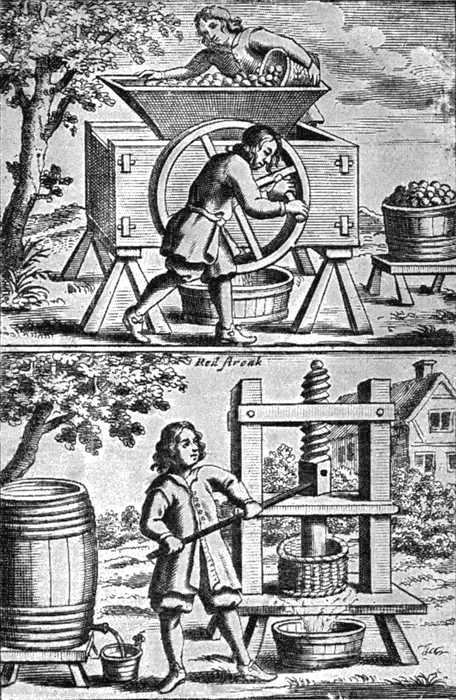 Cider-making in the 17th Century (From an old print)