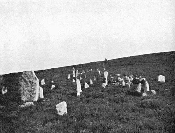 Triple Stone Row and Circle near Headlands, Dartmoor