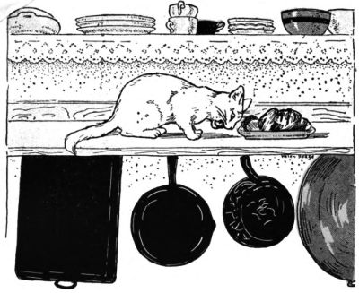 Mew-Mew on cupboard in kitchen