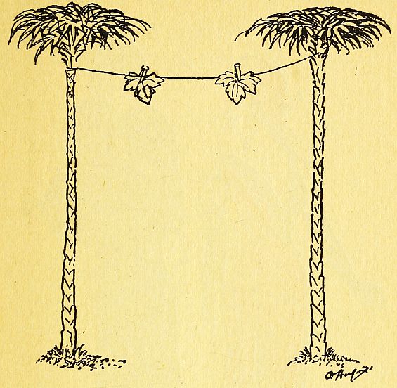 two palm trees with a clothesline between with two leaves on it