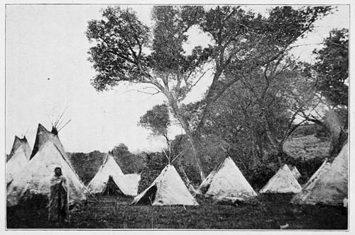 Indian Camp of Buffalo Hide Tepees