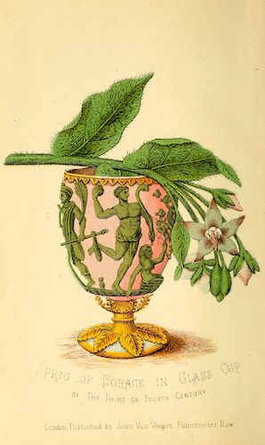 Sprigs in a glass cup