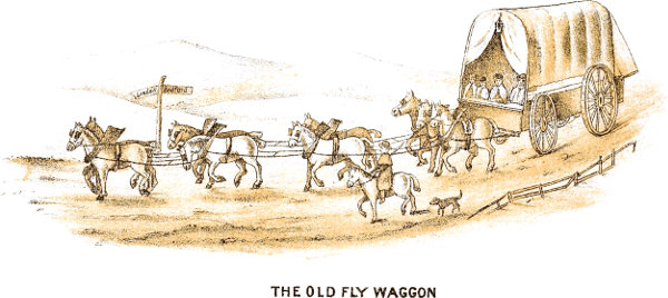 THE OLD FLY WAGGON.