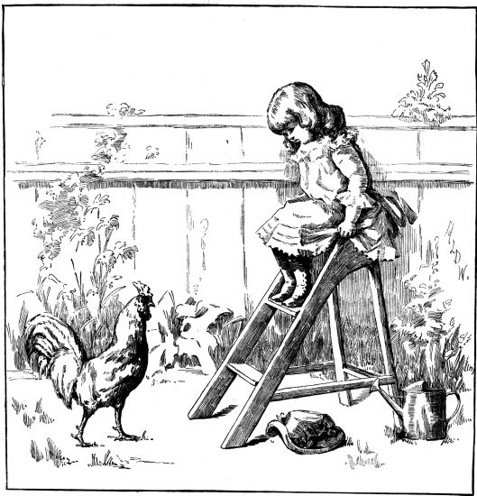 little girl on sitting on top of step-ladder watching rooster on ground