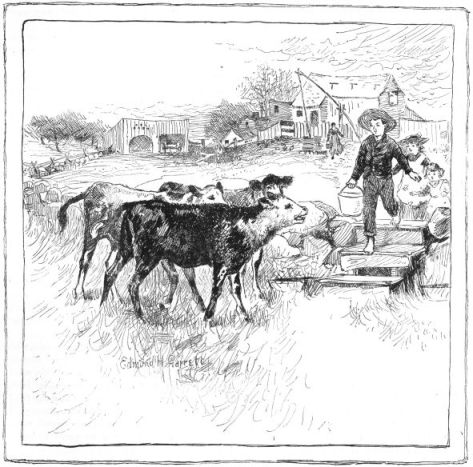 Three cows and a boy with a bucket