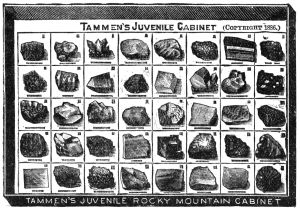 TAMMEN'S JUVENILE ROCKY MOUNTAIN CABINET
