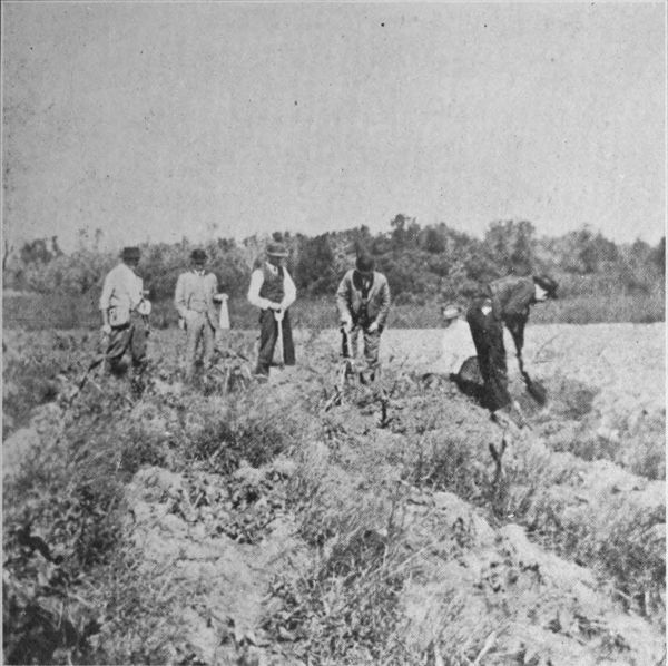 Plate No 1 At research on Ramey Farm in field near
Monks Mound, October, 1913