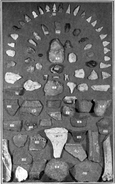 Plate No. 2 Characteristic surface finds from location
shown on plate 1.